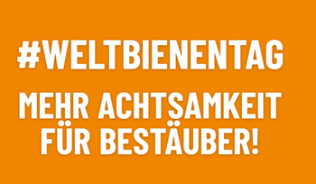 naturwissenschaftliche sektion