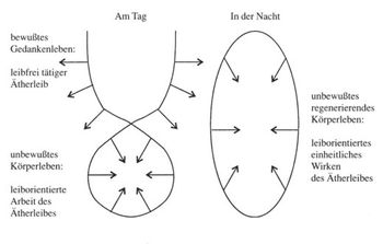 Sinneslehre Rudolf Steiner