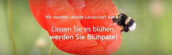 Patenschaft Bienen