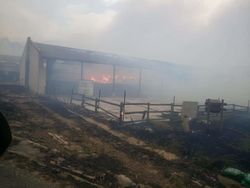 Flächenbrände haben weite Teile des Geländes der Camphill Farm Community Hermanus zerstört