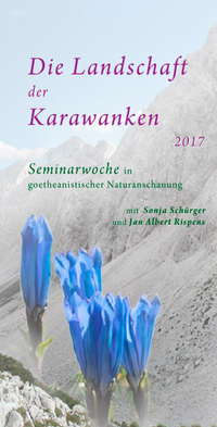 Die Landschaft der Karawanken