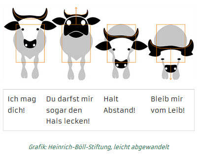 Kühe mit Hörner - Anthroposophie Schweiz