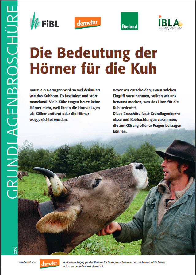 Hornkühe und Hornziegen - Demeter Schweiz